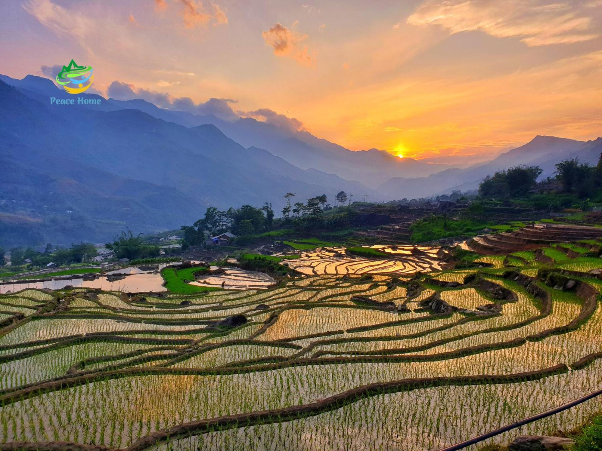 Peace Home 萨帕 外观 照片